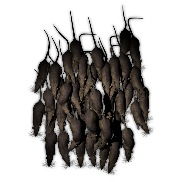3Z3_RatswarmtopLarge_DR_kpl01.png