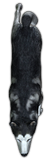 th_Talon_Wolf.png