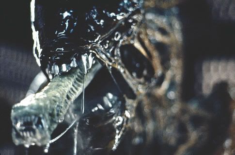 1979_alien_015.jpg