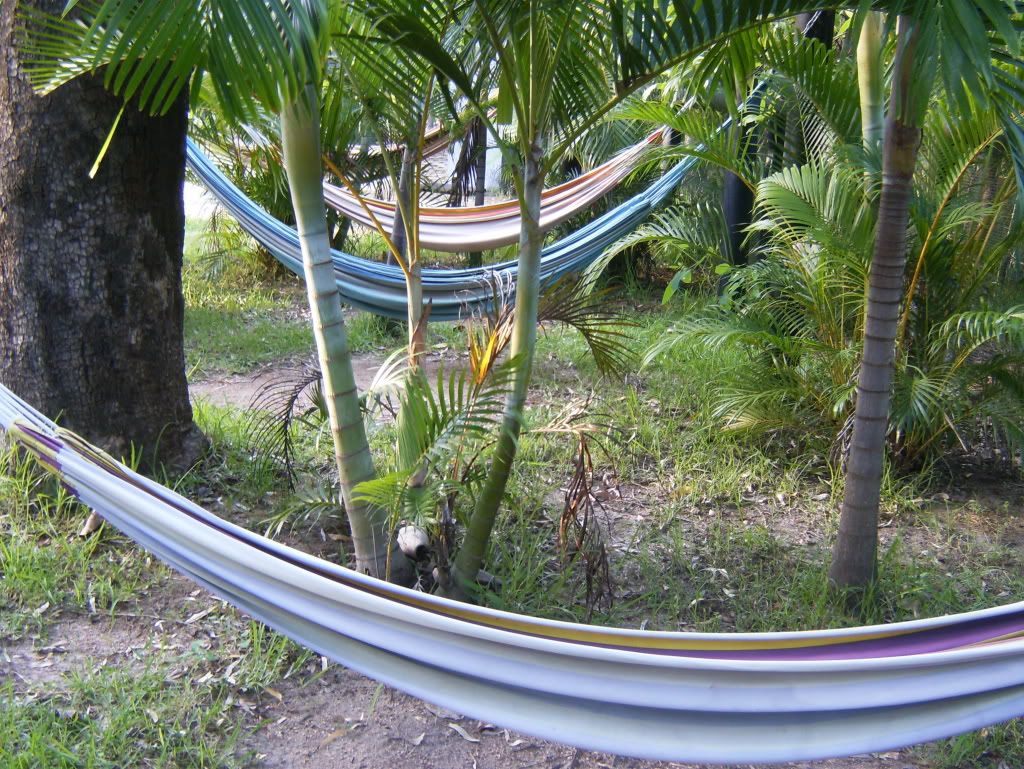 hammocks!