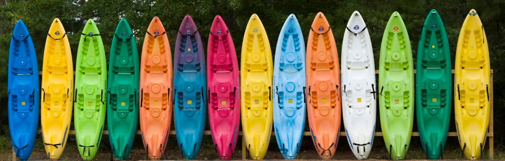 IMAGE: http://i571.photobucket.com/albums/ss153/drsimnal/SeaKayaks.jpg