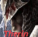 TherinFavoriteavvy-1.png