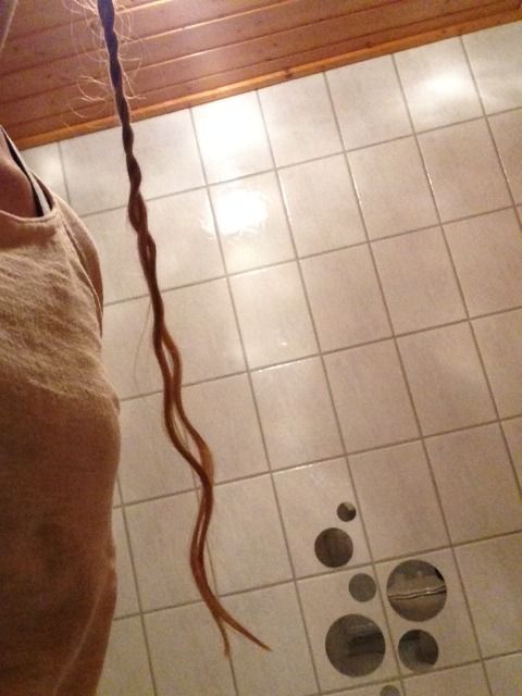 Bild