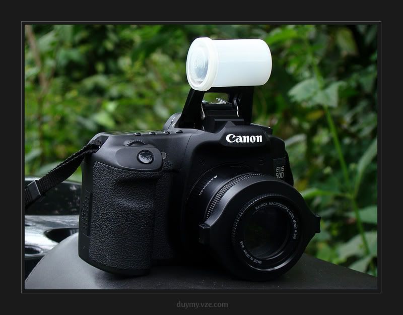 50D + 50mmf/1.8 + Raynox + pop up flash Canon EOS 7D / 10D 90D Talk