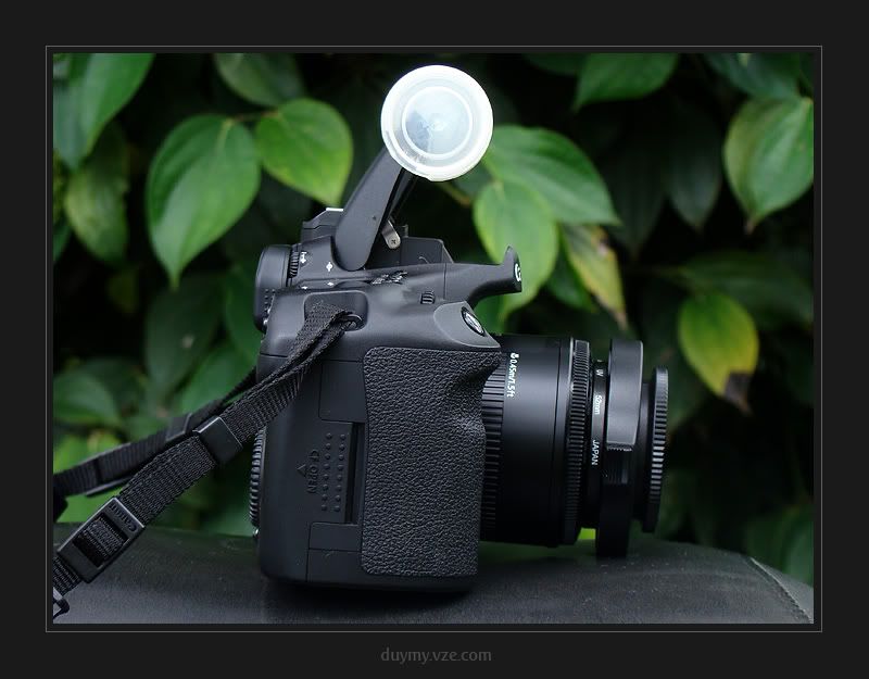 50D + 50mmf/1.8 + Raynox + pop up flash Canon EOS 7D / 10D 90D Talk