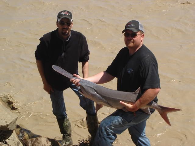 paddlefishing2010015.jpg