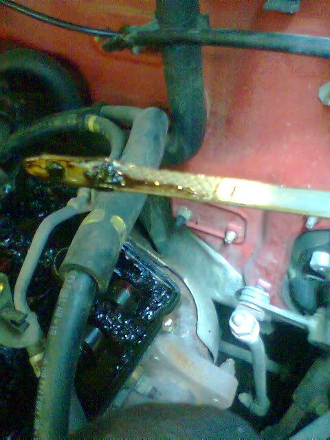 Image005.jpg