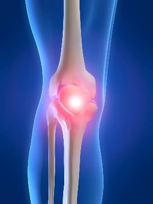 Knee
