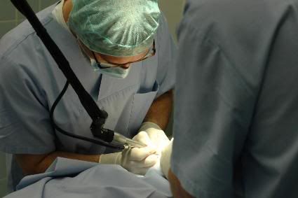 dr cassileth