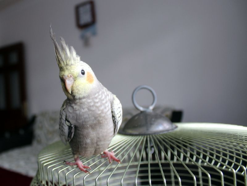 IMG_5386_zpsdaa83dc0.jpg