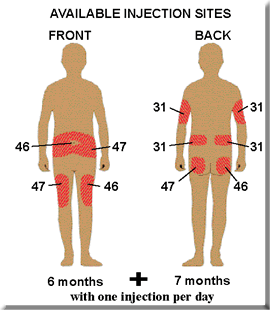 bodyno2.gif