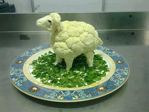 cauli-sheep.jpg