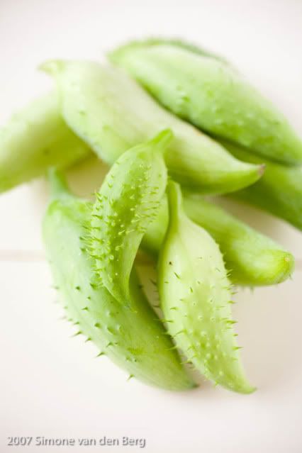 cucumber.jpg