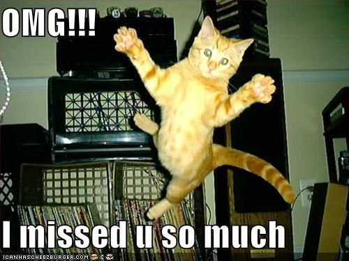 missed-you-lolcat.jpg