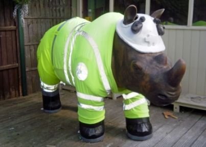 rhino.jpg