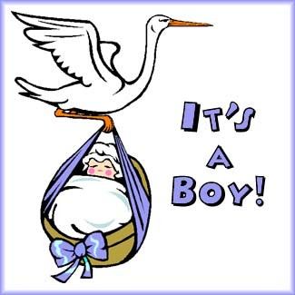 stork.png