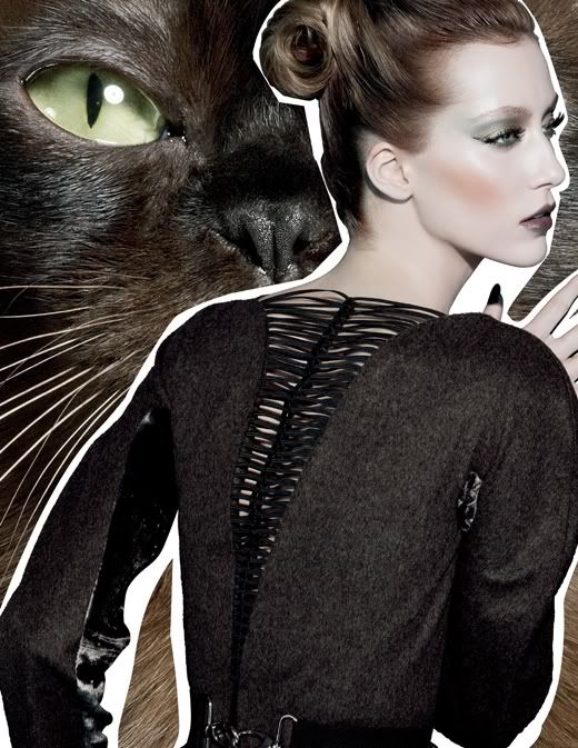 FabulousFelines-BurmeseBeauty-FA10-.jpg