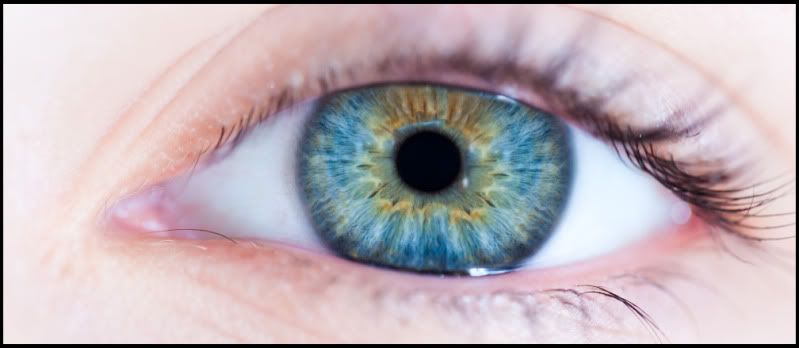 IMAGE: http://i571.photobucket.com/albums/ss158/aaronpassphotography/IMG_8178-Edit-1.jpg