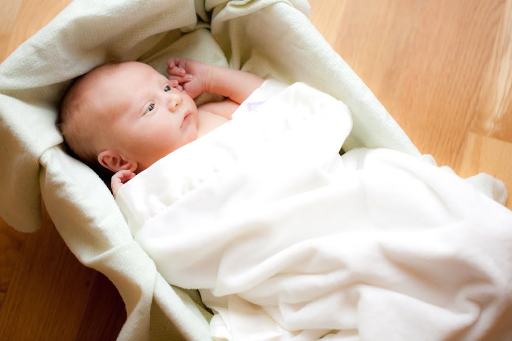 IMAGE: http://i571.photobucket.com/albums/ss158/aaronpassphotography/Jackson%20John%20Pacini/IMG_1604.jpg