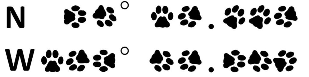 CooCoo photo CooCoo.png