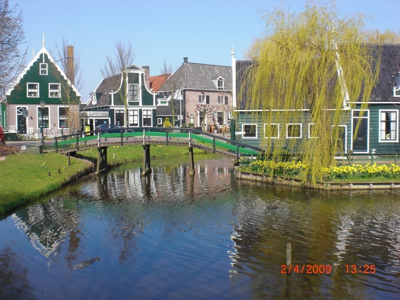 CIMG0214.jpg