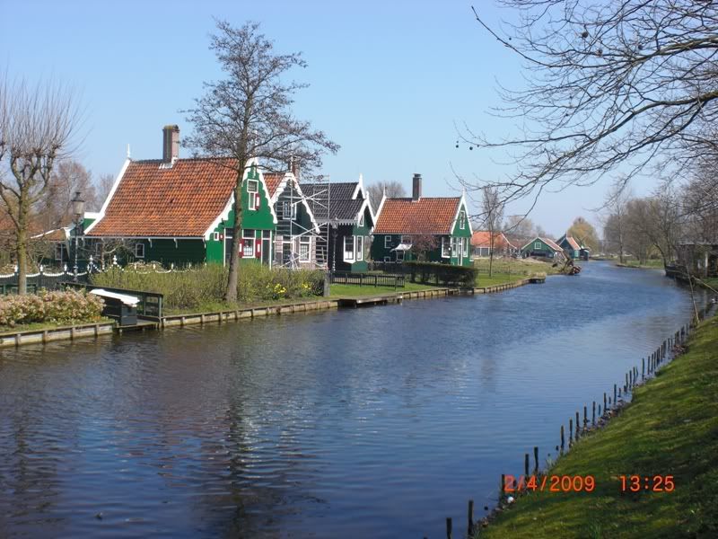 CIMG0215.jpg