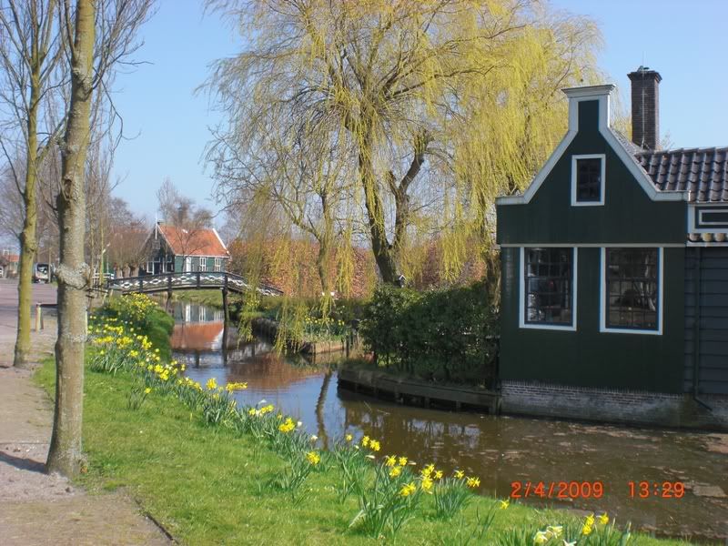 CIMG0220.jpg