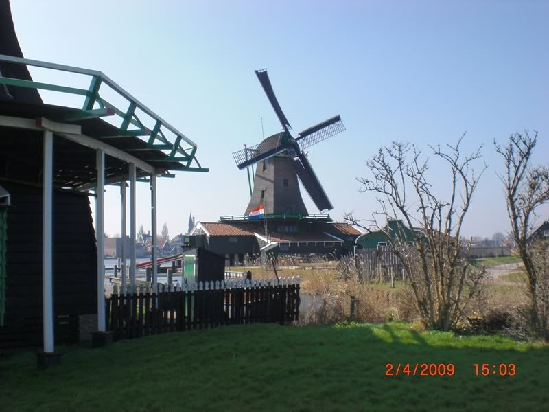 CIMG0243.jpg