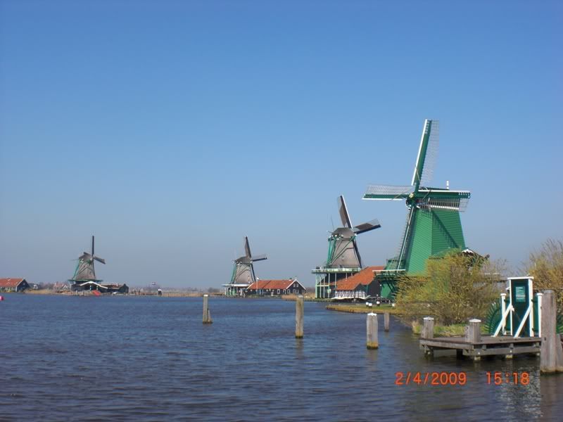 CIMG0252.jpg