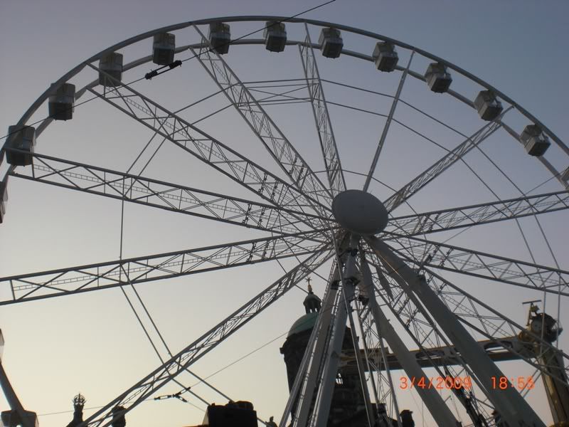 CIMG0370.jpg