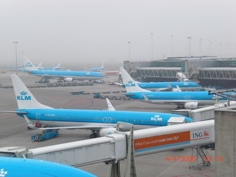 CIMG0384.jpg