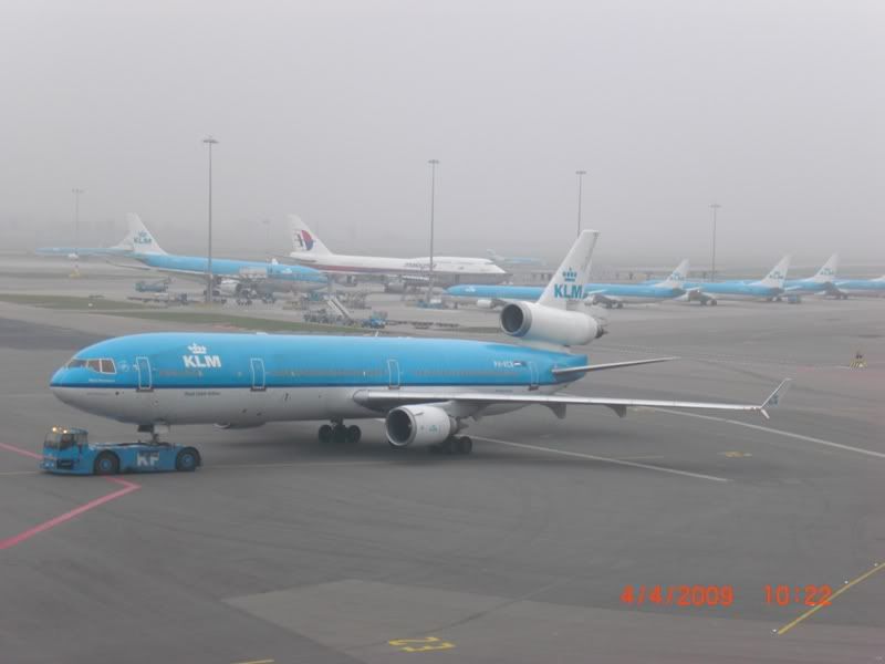 CIMG0395.jpg