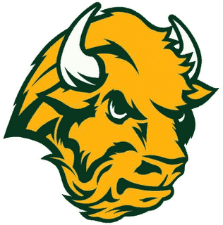 Bison_Alternative_Logo.png?t=1290913592