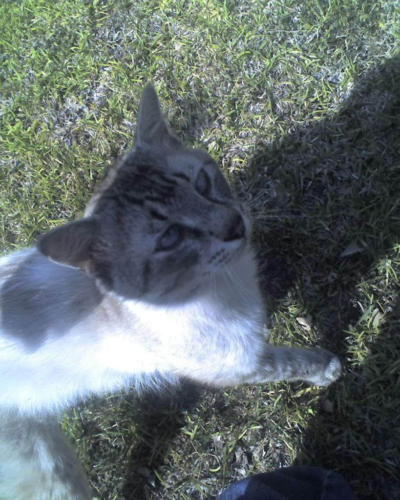 05-20-11_1640.jpg