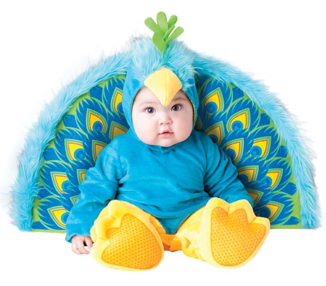 6038peacock.jpg