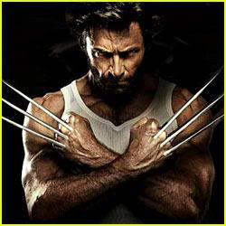 Wolverine Pictures, Images and Photos