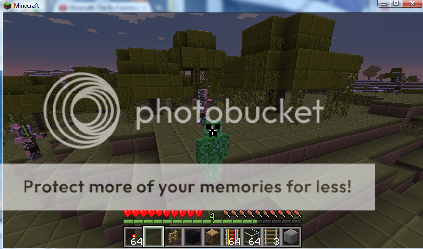 Ghasts and Zombie Pigmen Spawning in real world in MC? Survival Mode