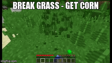 [1.8] One Command - Grow-able Corn and Edible Popcorn V4 Minecraft Map
