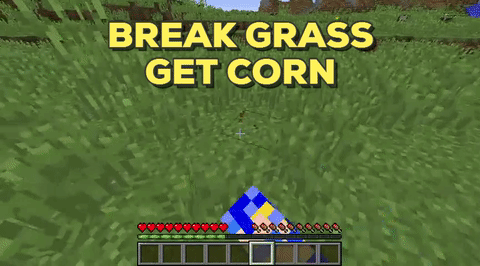 Get Corn Seeds