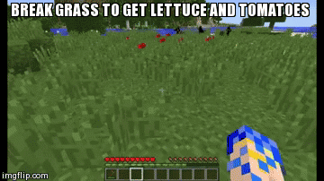 [1.8] One Command  - Tomatoes, Lettuce, Cheese, Salad, Sandwhiches, and Hamburgers Minecraft Map
